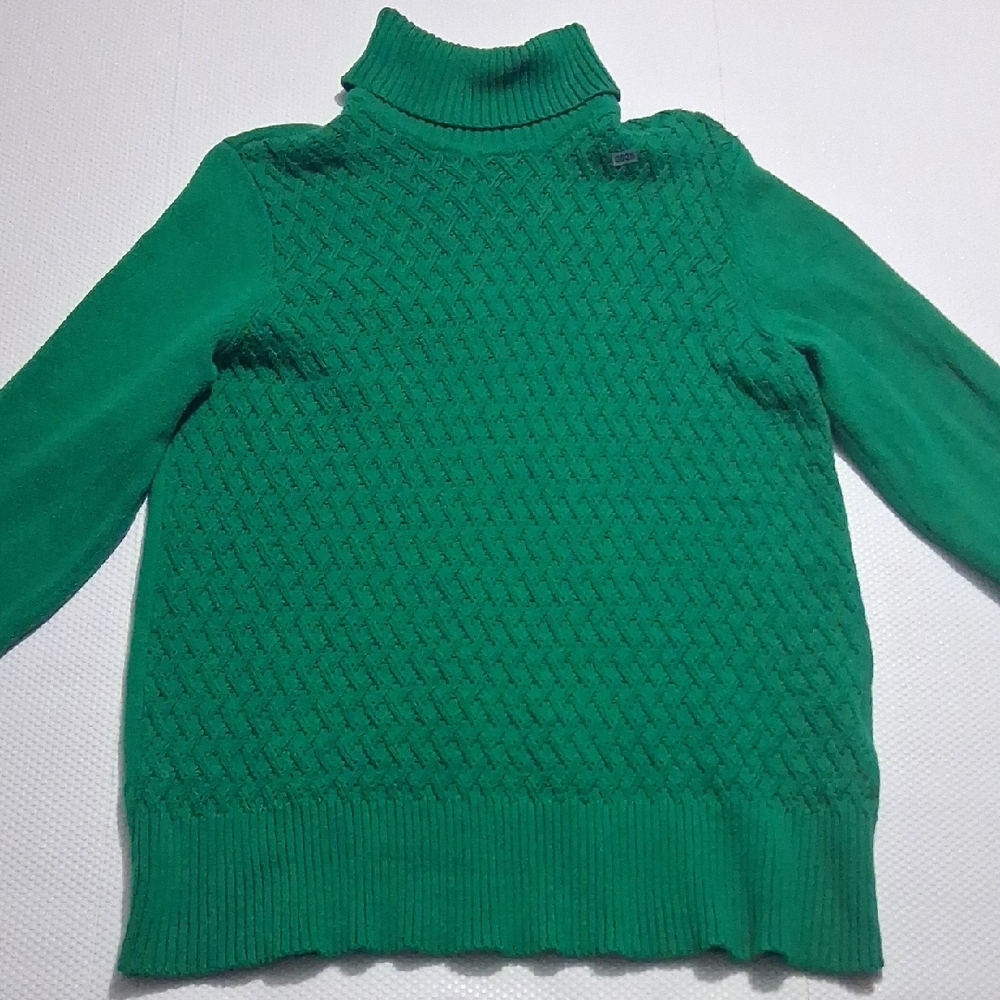 Karen Scott Emerald Cowl Neck Sweater